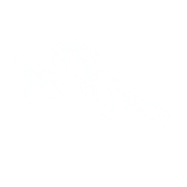 VIGNE-DESSIN-INES ET TOT-blanc sarment de vignes blanc