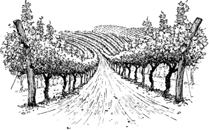 logo_allees-vignes logo vignes inesjosseaume création website conception site bordeaux
