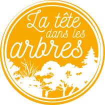 logo_latetedanslesarbres_elagage inesjosseaume inesjosseaume bordeaux conception web création site développeuse